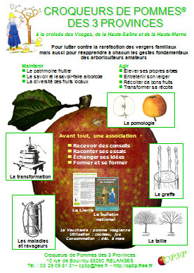 brochure1