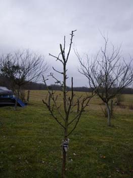 2009_02_21_rancourt (60)